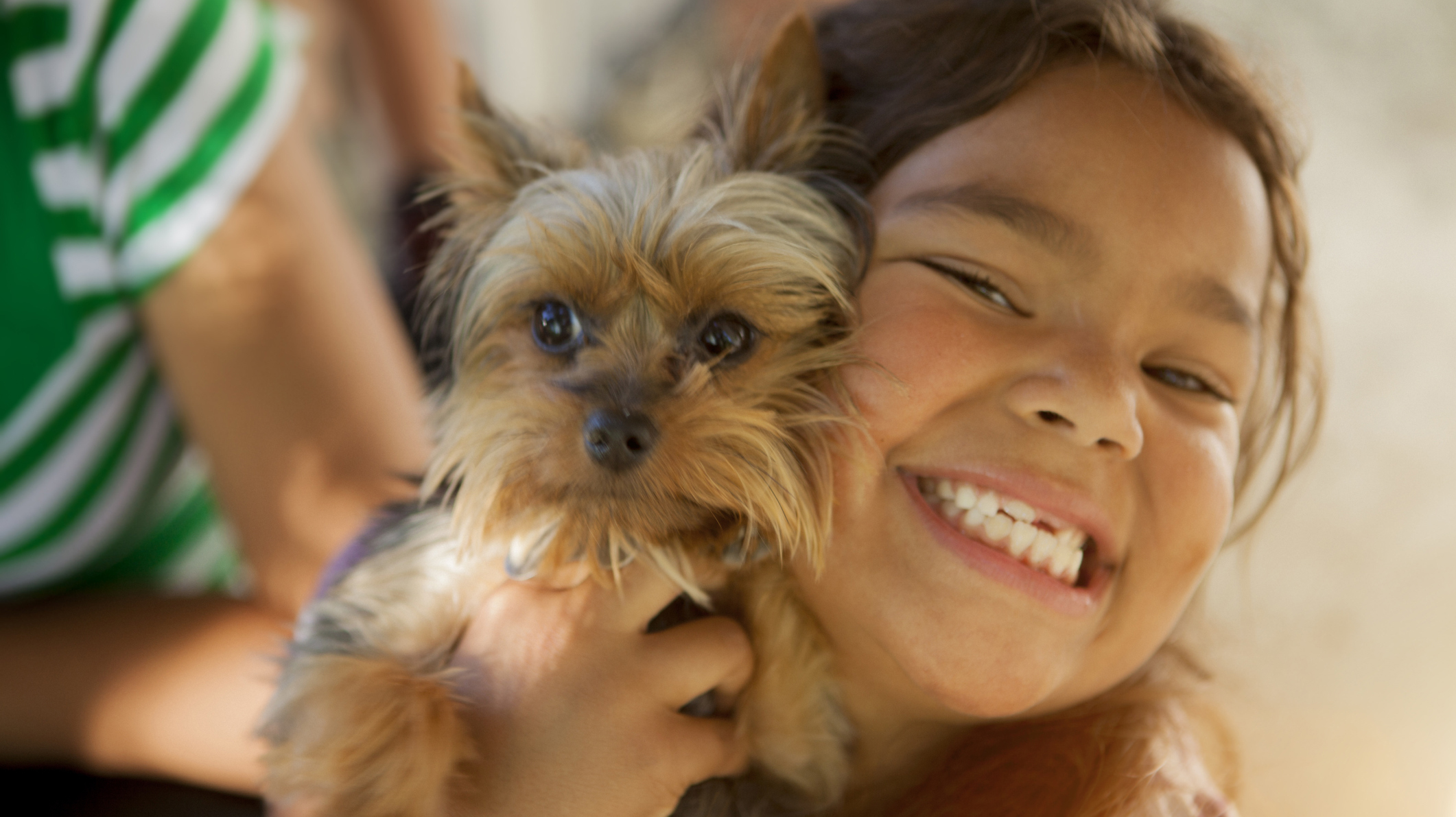 10-small-dog-breeds-that-are-great-with-children