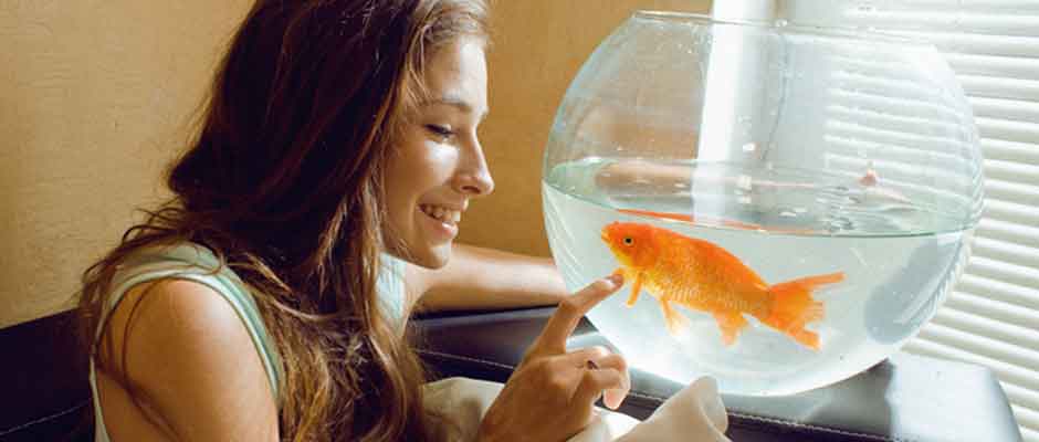 Which-Pet-Fish-Are-Best-For-Beginners