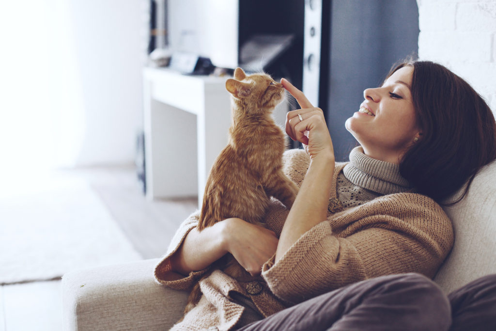 Young woman wearing warm sweater is resting with a cat on the ar