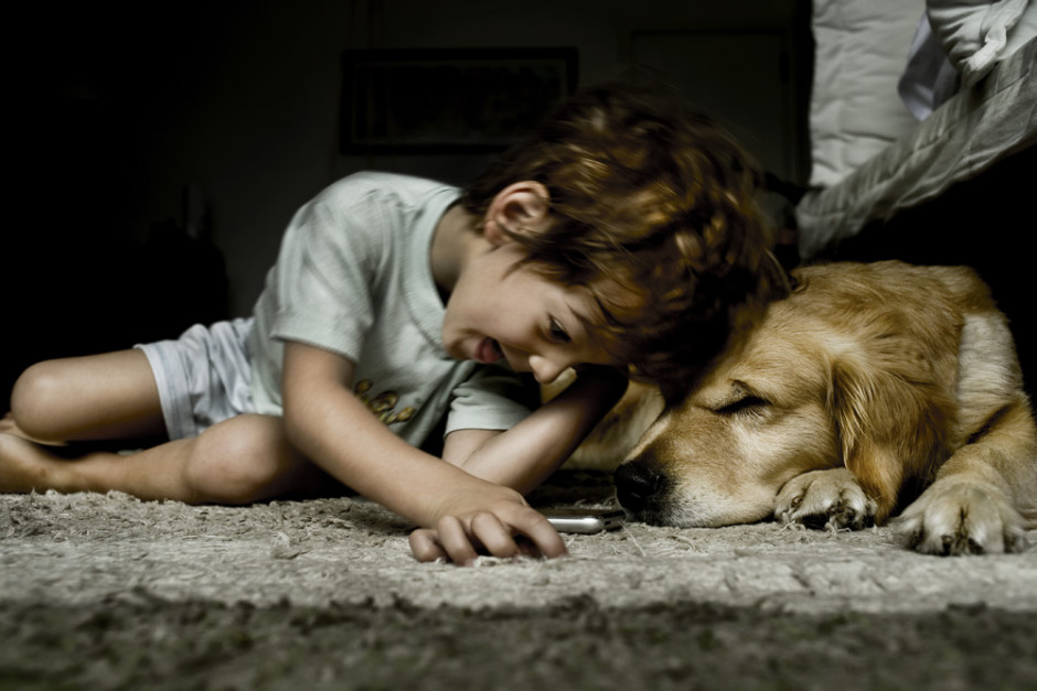 dog-breeds-for-kids-940x627